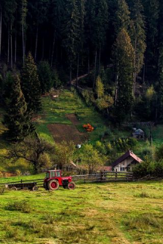 Fot�grafos de viajes, el mundo a trav�s de un objetivo - 11