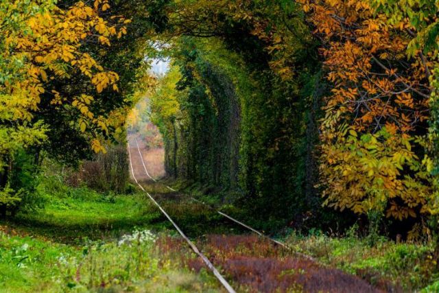 Fotgrafos de viajes, el mundo a travs de un objetivo - 12