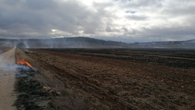 Efectivos del Infomur apagan un incendio en terreno agrícola en Yecla - 1, Foto 1