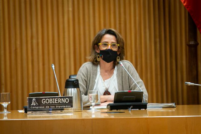 Ribera se compromete a seguir trabajando para abaratar el precio de la luz y ampliar las coberturas para proteger a los más vulnerables - 1, Foto 1