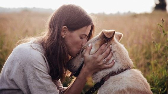 Expertos en terapia animal afirman que se puede querer a un perro más que a una persona - 1, Foto 1