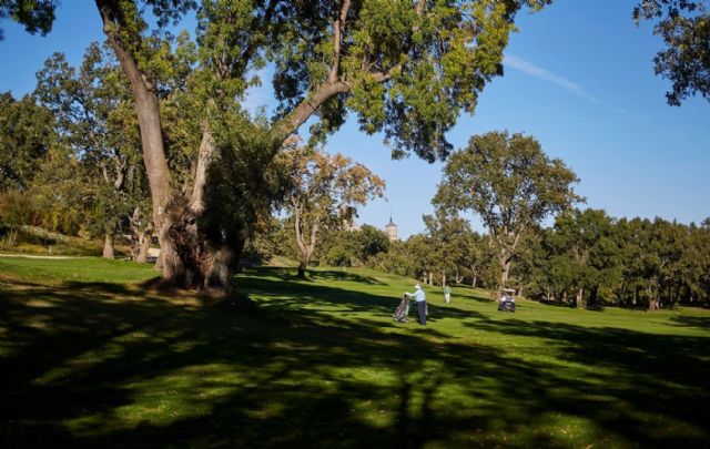 El golf, un deporte con gestores altamente cualificados - 1, Foto 1