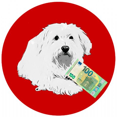 La Fintech Teleprestamos apuesta por la ayuda al usuario de préstamos online - 1, Foto 1