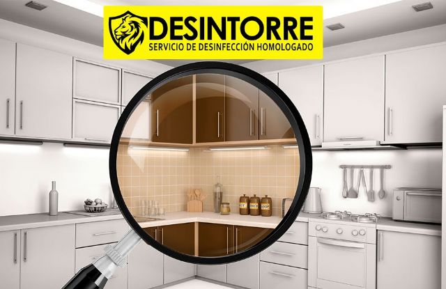 Eliminación de plagas domésticas ¿Qué insectos habitan las casas? por DESINTORRE - 1, Foto 1