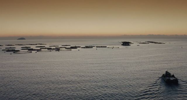 Acuicultura de España mantiene su apuesta por una comunicación transparente y continua para 2021 - 1, Foto 1