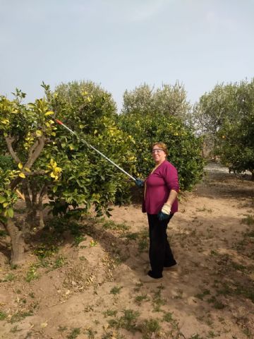 La Asociacin Sociocultural de la mujer Totanera sigue trabajando en la igualdad de la mujer - 7