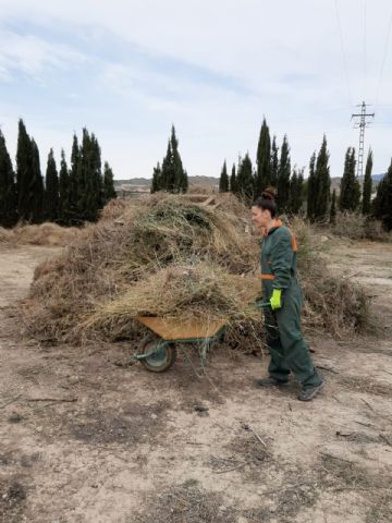 La Asociacin Sociocultural de la mujer Totanera sigue trabajando en la igualdad de la mujer - 15
