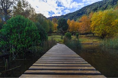 Chile avanza hacia su objetivo de vacunar al 80% de su población en junio - 1, Foto 1