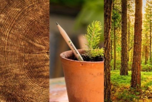 Sprout World celebra hoy 30 de marzo el Día Internacional del Lápiz que cumple ms de 450 años - 1, Foto 1