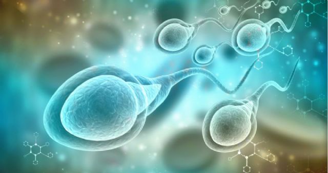 Los óvulos facilitan el embarazo corrigiendo espermatozoides con anomalías genéticas - 1, Foto 1
