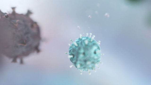 Innovación mundial de ZEISS contra los virus y bacterias de las lentes para gafas - 1, Foto 1