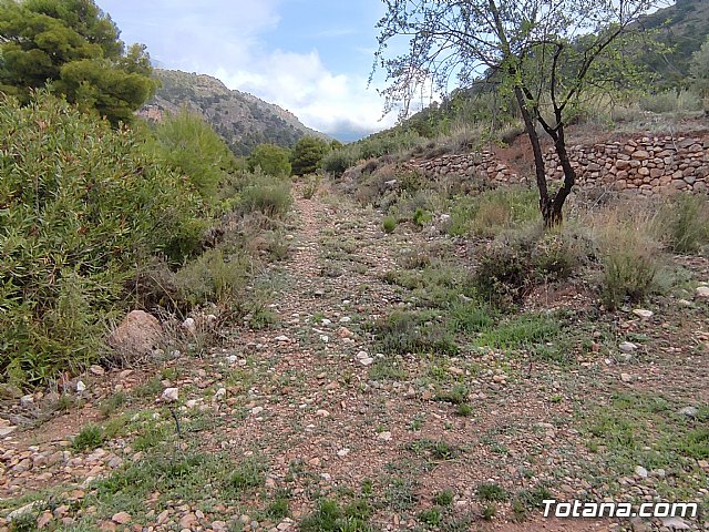 Vecinos del Purgatorio presentan al ayuntamiento ms de 1200 firmas por el corte de un camino en Sierra Espua - 8