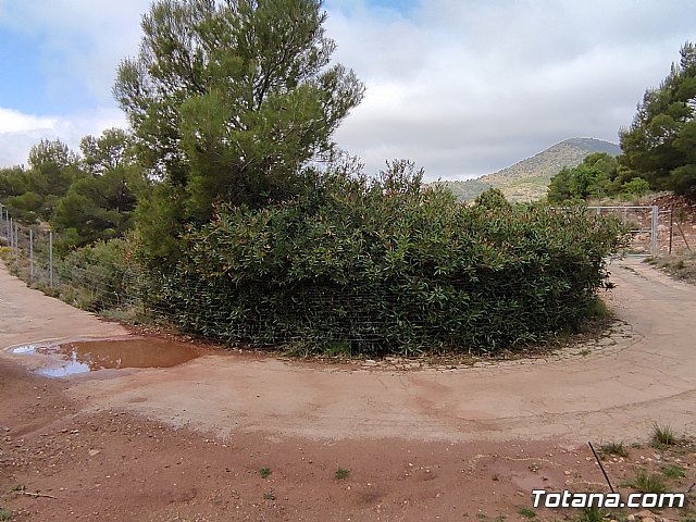 Vecinos del Purgatorio presentan al ayuntamiento ms de 1200 firmas por el corte de un camino en Sierra Espua - 9