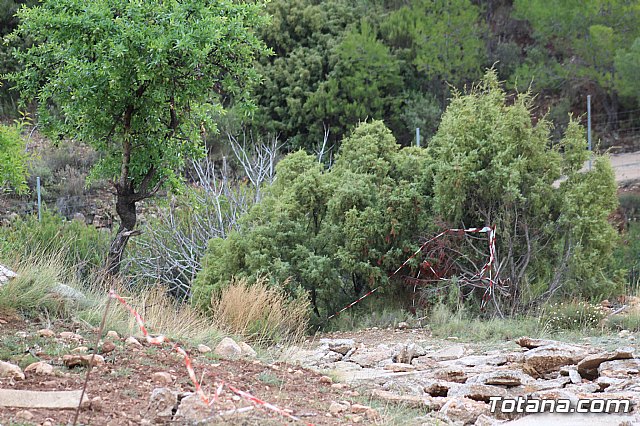 Vecinos del Purgatorio presentan al ayuntamiento ms de 1200 firmas por el corte de un camino en Sierra Espua - 22
