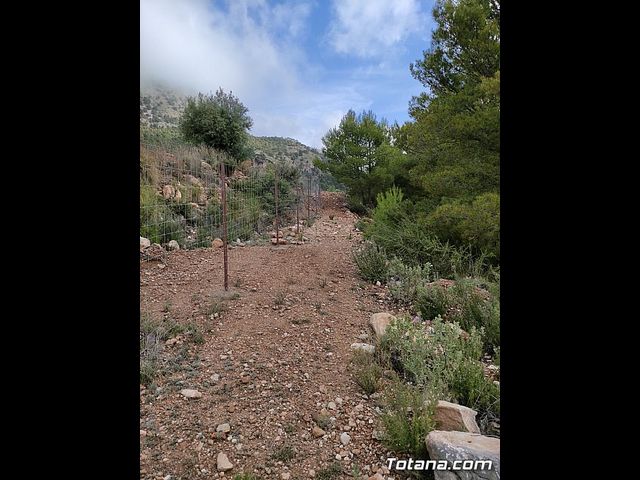 Vecinos del Purgatorio presentan al ayuntamiento ms de 1200 firmas por el corte de un camino en Sierra Espua - 23