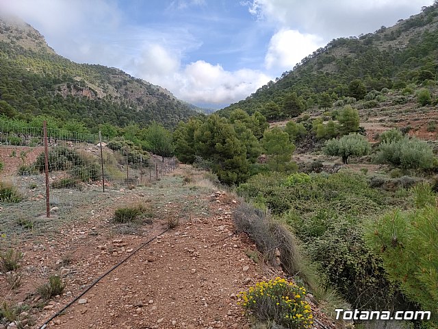 Vecinos del Purgatorio presentan al ayuntamiento ms de 1200 firmas por el corte de un camino en Sierra Espua - 26