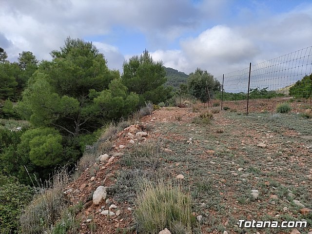 Vecinos del Purgatorio presentan al ayuntamiento ms de 1200 firmas por el corte de un camino en Sierra Espua - 27