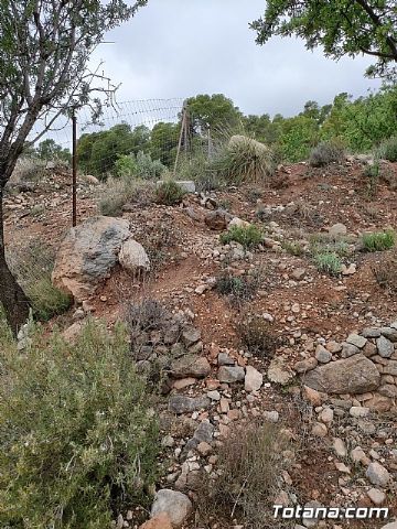 Vecinos del Purgatorio presentan al ayuntamiento ms de 1200 firmas por el corte de un camino en Sierra Espua - 28