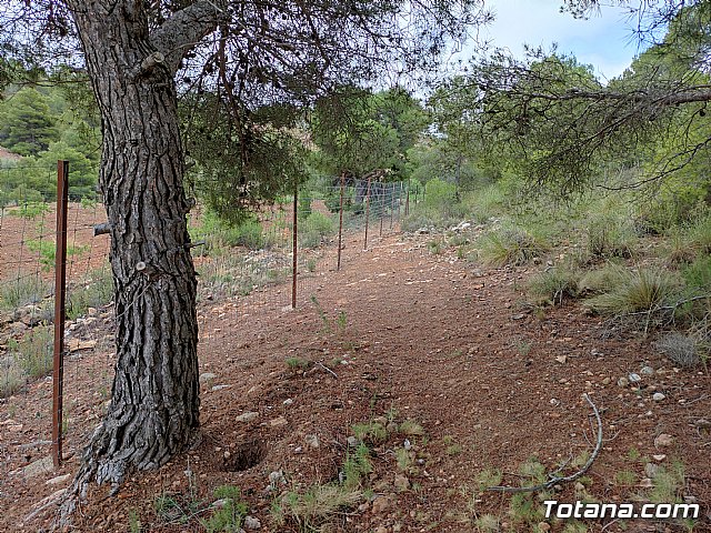 Vecinos del Purgatorio presentan al ayuntamiento ms de 1200 firmas por el corte de un camino en Sierra Espua - 31