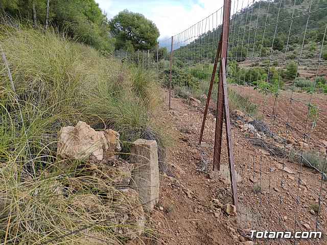 Vecinos del Purgatorio presentan al ayuntamiento ms de 1200 firmas por el corte de un camino en Sierra Espua - 32