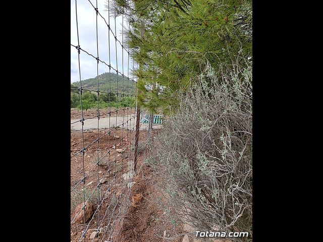 Vecinos del Purgatorio presentan al ayuntamiento ms de 1200 firmas por el corte de un camino en Sierra Espua - 33