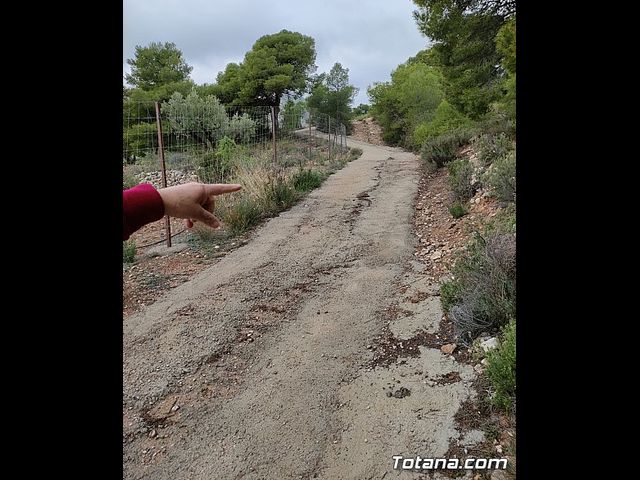 Vecinos del Purgatorio presentan al ayuntamiento ms de 1200 firmas por el corte de un camino en Sierra Espua - 37