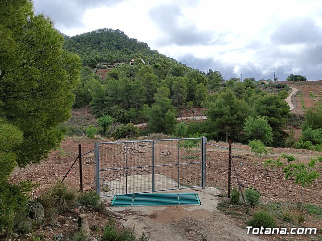 Vecinos del Purgatorio presentan al ayuntamiento ms de 1200 firmas por el corte de un camino en Sierra Espua - 39