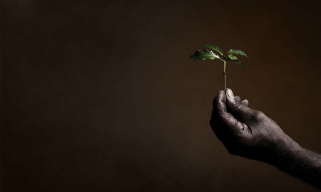 Illycaffè consigue la certificación BCorp - 1, Foto 1