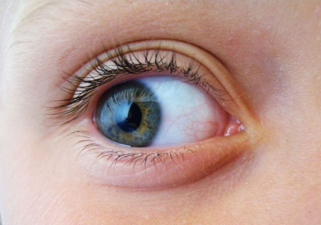 La disgrafía, una señal de una mala integración visual motora, según Mejor Visión - 1, Foto 1