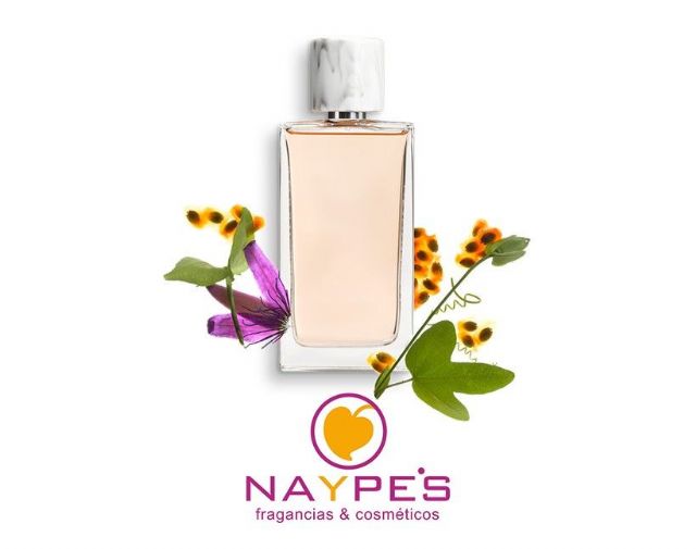 NAYPES inicia su plan de internacionalización y mantiene su colaboracin con la consultora empresarial CEDEC - 1, Foto 1