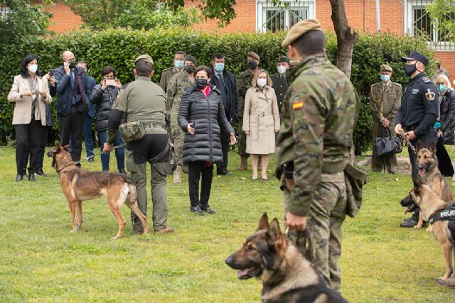La ministra visita las instalaciones del Centro Militar Canino de la Defensa - 1, Foto 1