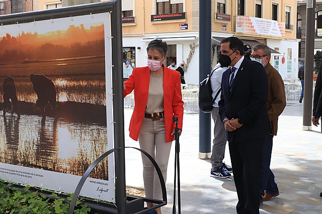 Inaugurada la exposicin 