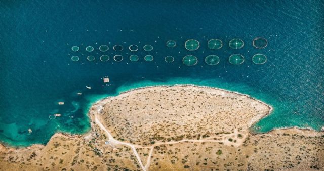 La empresa española AIS Group desarrolla un sistema de IA para el control de algas nocivas - 1, Foto 1