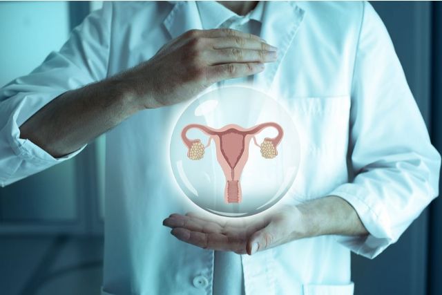 Hay 12 genes relacionados con el envejecimiento ovárico - 1, Foto 1