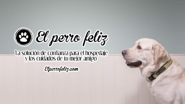 La Franquicia El Perro Feliz, una oportunidad para jóvenes emprendedores - 1, Foto 1