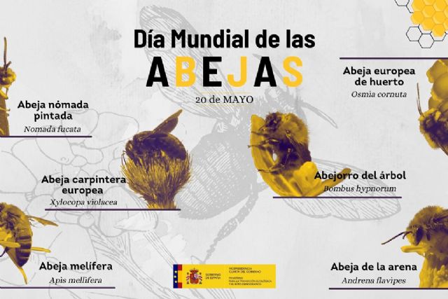 Transición Ecológica y el Reto Demográfico ultima un nuevo sistema de seguimiento de polinizadores en España - 1, Foto 1