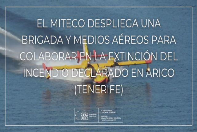 El MITECO despliega una brigada y medios aéreos para colaborar en la extinción del incendio declarado en Arico (Tenerife) - 1, Foto 1