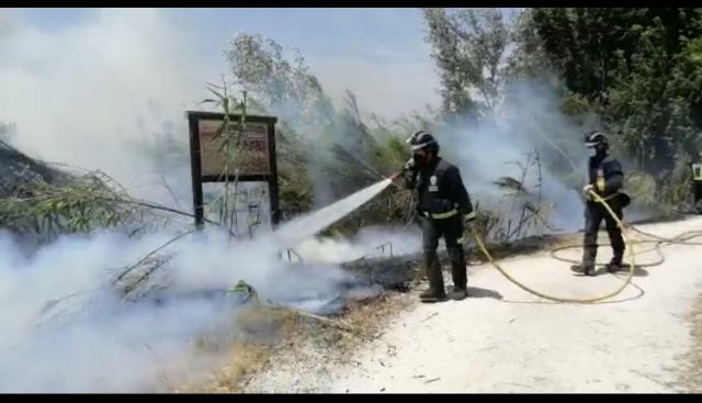 Sofocan el incendio de cañas/matorral en Alguazas - 1, Foto 1