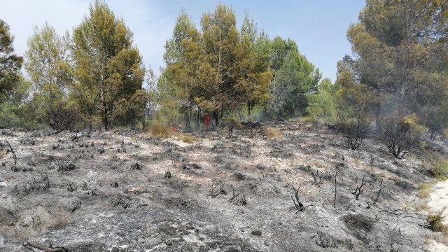 Apagan un conato de incendio forestal en el paraje Puente Hellín de Moratalla - 1, Foto 1