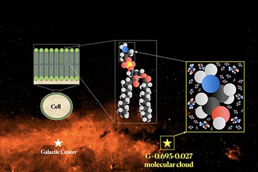 Transportes, Movilidad y Agenda Urbana participa en el descubrimiento en el espacio de la etanolamina, una molécula clave en el origen de la vida - 1, Foto 1