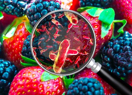 MicroPlanet: Más del 50% de las intoxicaciones alimentarias tienen su origen en el hogar - 1, Foto 1