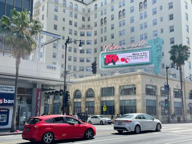 Lichis de Guandong: qué puede crecer en los árboles milenarios - 1, Foto 1