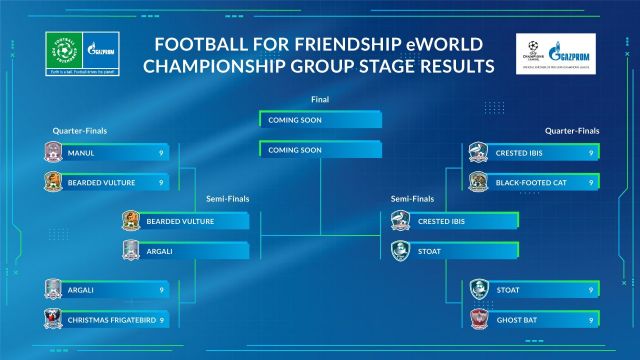 El campeonato del mundo en línea Football for Friendship: Jugadores de más de 200 países compiten en equipos mixtos - 1, Foto 1