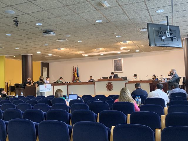 Resumen acuerdos Pleno Jueves 10 de junio 2021 - 1, Foto 1