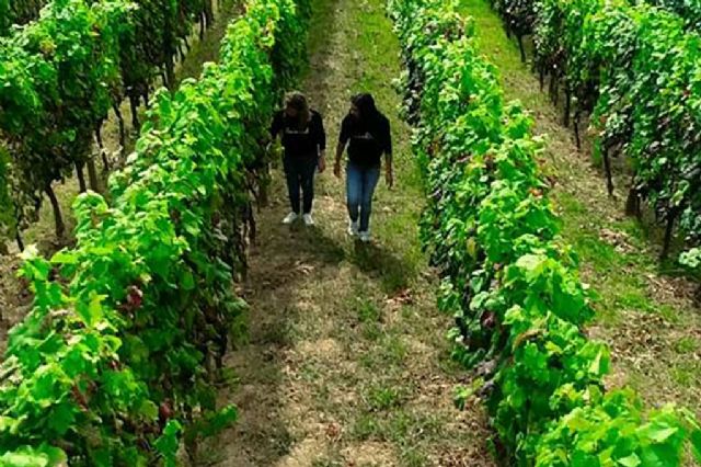 Migraciones acompaña en Algeciras a las primeras 660 mujeres temporeras que retornan a Marruecos - 1, Foto 1