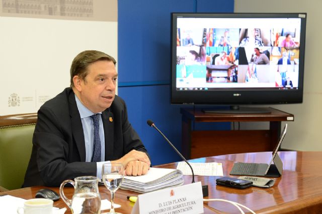 Planas: España defenderá una transición equilibrada y justa hacia la sostenibilidad pesquera en el Mediterráneo - 1, Foto 1