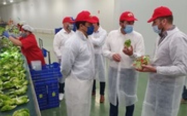 Antonio Luengo dice en El Mirador que el cierre del Trasvase supondría la desaparición del 80 por ciento de la agricultura del Campo de Cartagena - 1, Foto 1