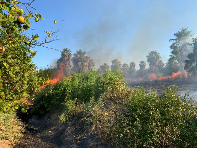Bomberos trabajan en el incendio declarado en un huerto con viviendas cercanas en Beniel - 1, Foto 1