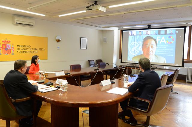 Luis Planas reafirma el compromiso de España con FAO para el logro de la seguridad alimentaria mundial - 1, Foto 1