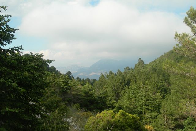 Teresa Ribera celebra la aprobación definitiva del Parque Nacional Sierra de las Nieves, el decimosexto en España - 1, Foto 1